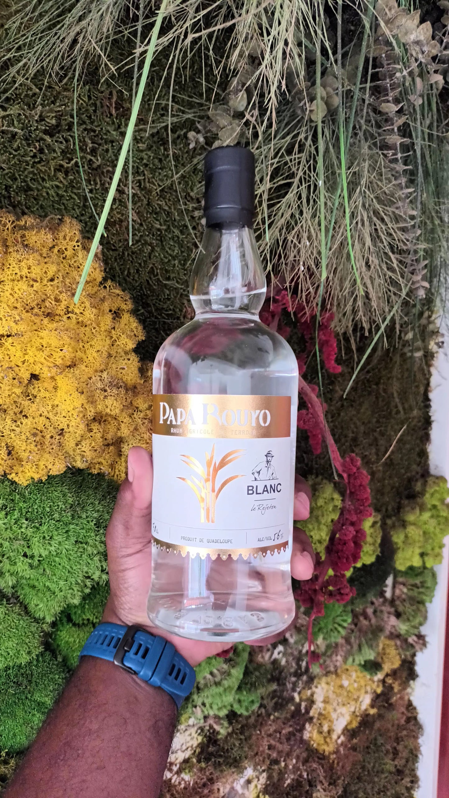 Papa Rouyo Le Rejeton 56°, 70cl *** Coup de Coeur