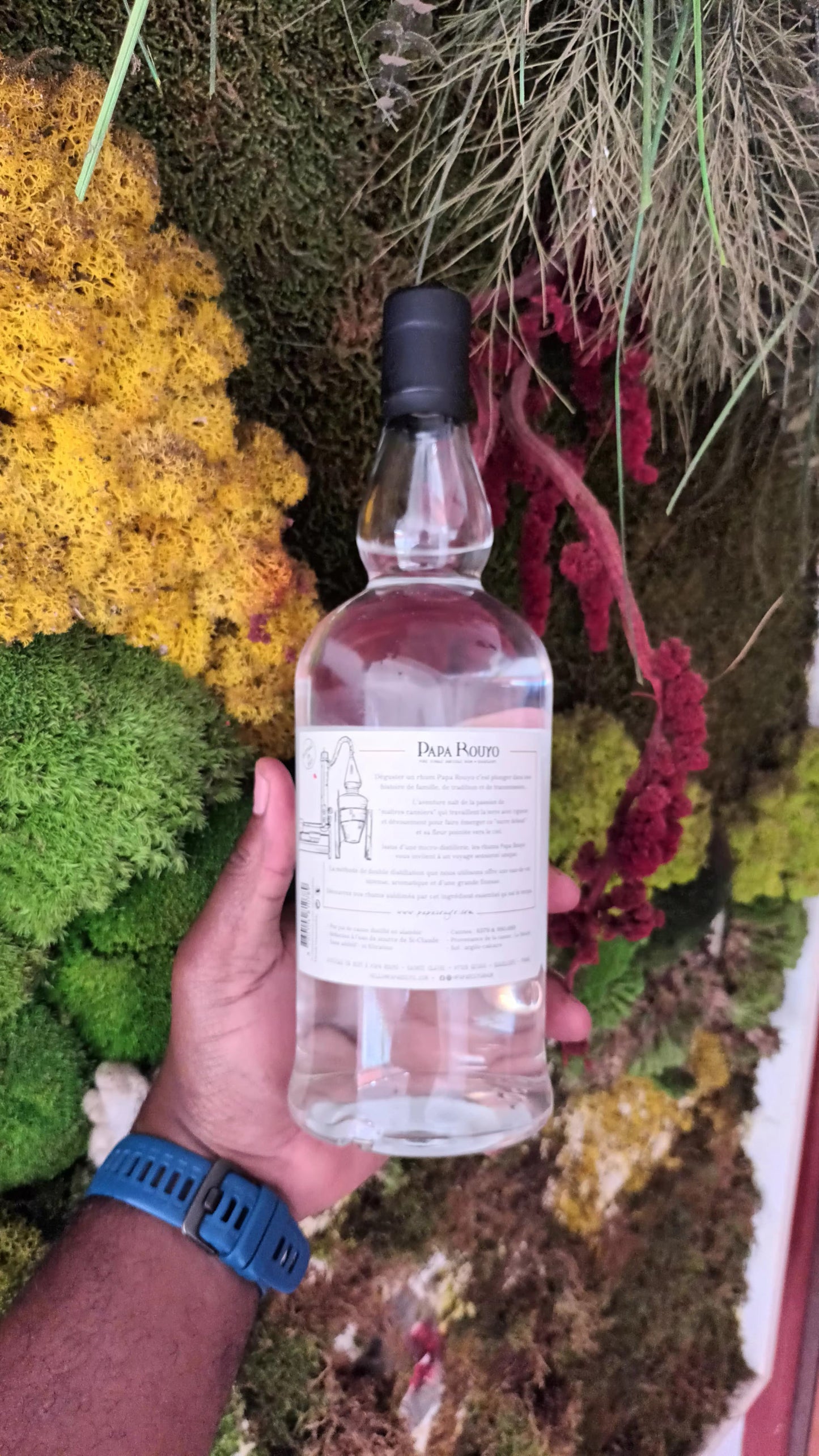 Papa Rouyo Le Rejeton 56°, 70cl *** Coup de Coeur